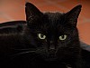 DSC03277